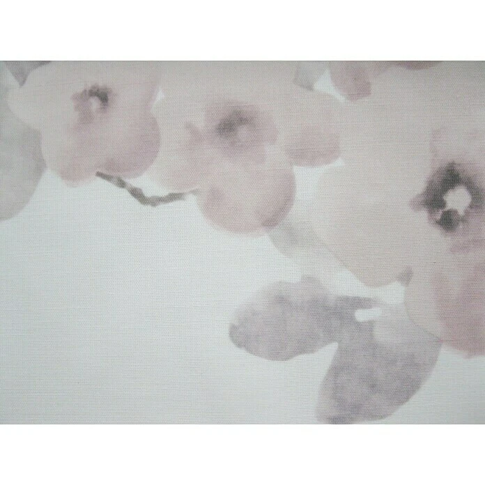 Elbersdrucke Ösenschal Kyoto 140 X 255 Cm, 100 % Polyester, Beige/Rosa 5 Elbersdrucke Ösenschal Kyoto 140 X 255 Cm, 100 % Polyester, Beige/Rosa – Bild 3