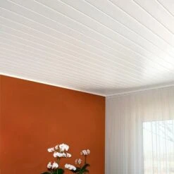 BaukulitVox Profi-Line Verkleidungspaneel B12 Weiß, 3.000 X 125 X 9 Mm -Innendekorationen 12 603