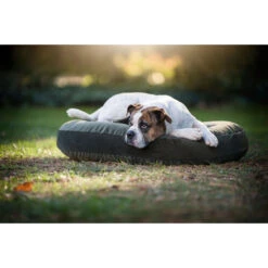 LABONI LUNA LOUNGE-KISSEN FÜR HUNDE - 90x65 Cm - Höhe 20 Cm - Olive Green -Innendekorationen 377594 big 13