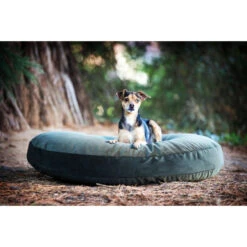 LABONI LUNA LOUNGE-KISSEN FÜR HUNDE - 90x65 Cm - Höhe 20 Cm - Olive Green -Innendekorationen 377594 big 15