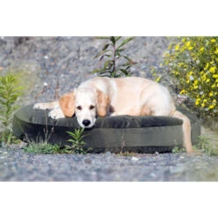 LABONI LUNA LOUNGE-KISSEN FÜR HUNDE - 90x65 Cm - Höhe 20 Cm - Olive Green -Innendekorationen 377594 big 16