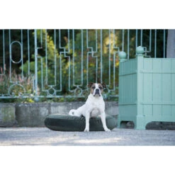 LABONI LUNA LOUNGE-KISSEN FÜR HUNDE - 90x65 Cm - Höhe 20 Cm - Olive Green -Innendekorationen 377594 big 17