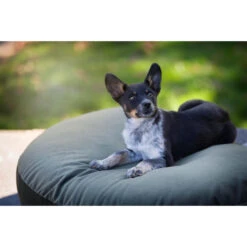 LABONI LUNA LOUNGE-KISSEN FÜR HUNDE - 90x65 Cm - Höhe 20 Cm - Olive Green -Innendekorationen 377594 big 18