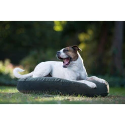 LABONI LUNA LOUNGE-KISSEN FÜR HUNDE - 90x65 Cm - Höhe 20 Cm - Olive Green -Innendekorationen 377594 big 19