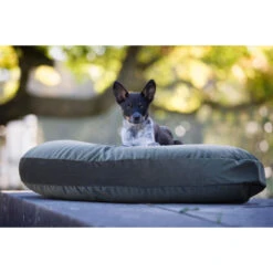 LABONI LUNA LOUNGE-KISSEN FÜR HUNDE - 90x65 Cm - Höhe 20 Cm - Olive Green -Innendekorationen 377594 big 9