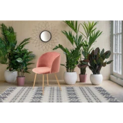 Kayoom STUHL Celina 110 2er-Set - 2 Stühle à 56x54x84 Cm - Rosa 15 Kayoom STUHL Celina 110 2er-Set - 2 Stühle à 56x54x84 Cm - Rosa -Innendekorationen 397544 big 6