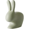 Qeeboo Rabbit Chair Stuhl - 68,8 X 39,5 X 80 Cm - Balsam Green -Innendekorationen 412168 big 0