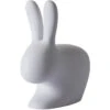 Qeeboo Rabbit Chair Stuhl - 68,8 X 39,5 X 80 Cm - Grey 2 Qeeboo Rabbit Chair Stuhl - 68,8 X 39,5 X 80 Cm - Grey -Innendekorationen 412169 big 0