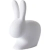 Qeeboo Rabbit Chair Stuhl - 68,8 X 39,5 X 80 Cm - Light Grey -Innendekorationen 412171 big 0