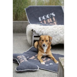 David Fussenegger Dog's Chillzone Hundekissen Inkl. Füllung - 55x30 Cm - Anthrazit 8 David Fussenegger Dog's Chillzone Hundekissen Inkl. Füllung - 55x30 Cm - Anthrazit -Innendekorationen 426696 big 2