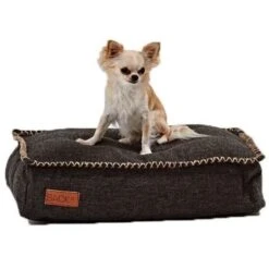 SACKit Dog Bed Mini Hundekissen - 59 X 40 X 15 Cm - Black