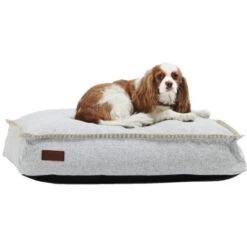 SACKit Dog Bed Medium Hundekissen - 59 X 40 X 15 Cm - White