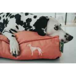 HUNTER Merida Orthopädisches Hundekissen - 50x75 Cm - Apricot -Innendekorationen 444632 big 4