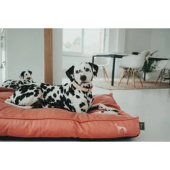 HUNTER Merida Orthopädisches Hundekissen - 50x75 Cm - Apricot -Innendekorationen 444632 big 5