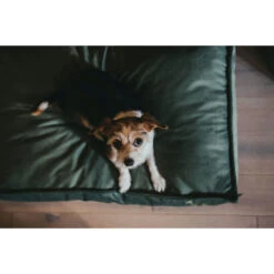 HUNTER Merida Orthopädisches Hundekissen - 50x75 Cm - Olivgrün -Innendekorationen 444635 big 3