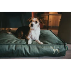 HUNTER Merida Orthopädisches Hundekissen - 50x75 Cm - Olivgrün -Innendekorationen 444635 big 4