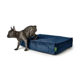HUNTER Merida Orthopädisches Hundekissen - 50x75 Cm - Royalblau -Innendekorationen 444638 big 2