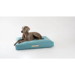 Labbvenn COPENHAGEN Tierkissen - 70x50x12 Cm - Azure -Innendekorationen 447382 big 2