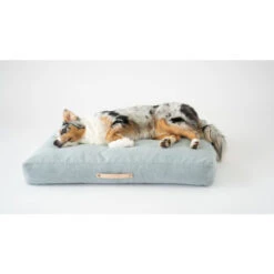 Labbvenn OSLO Tierkissen - 70x50x12 Cm - Cloud -Innendekorationen 447385 big 2