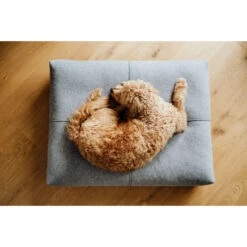 Labbvenn FINNO Tierkissen - 90x70x12 Cm - Grey -Innendekorationen 447395 big 2