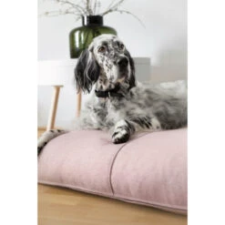 Labbvenn FINNO Tierkissen - 90x70x12 Cm - Rose 10 Labbvenn FINNO Tierkissen - 90x70x12 Cm - Rose -Innendekorationen 447398 big 3