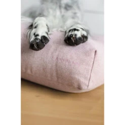 Labbvenn FINNO Tierkissen - 90x70x12 Cm - Rose 11 Labbvenn FINNO Tierkissen - 90x70x12 Cm - Rose -Innendekorationen 447398 big 4