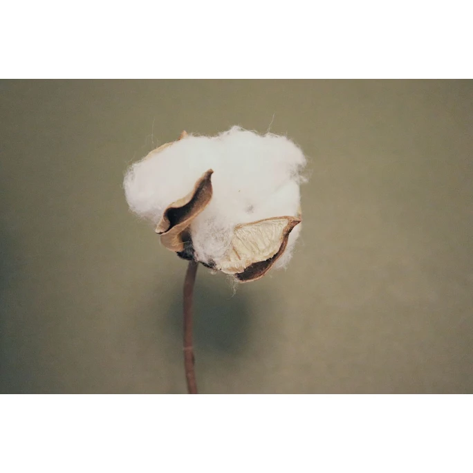 Elvang Lyme Grass Kissenhülle - 50x50 Cm - Grey 5 Elvang Lyme Grass Kissenhülle - 50x50 Cm - Grey – Bild 3