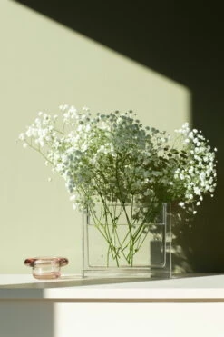 Sirkel Teelichthalter, Primrose Pink -Innendekorationen 7paspww