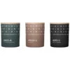 Skandinavisk Duftkerzen-Set 3 Stück, HIBERNATE 2 Skandinavisk Duftkerzen-Set 3 Stück, HIBERNATE -Innendekorationen SV22005 hibernate 3set skandinavisk 1