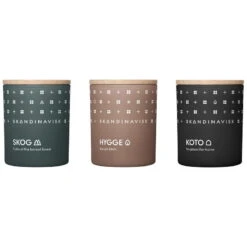 Skandinavisk Duftkerzen-Set 3 Stück, HIBERNATE
