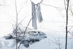 Saimaannorppa Decke 10 Saimaannorppa Decke -Innendekorationen lapuankankurit saimaannorppa series 4